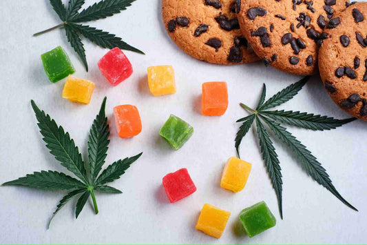 HHC EDIBLES: NOVÁ ÉRA VE SBÍRÁNÍ KANABISOVÝCH ZÁŽITKŮ