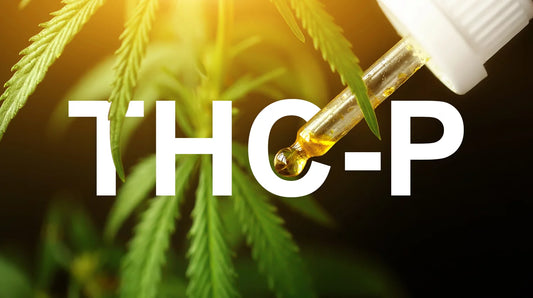 THC-P – NOVÝ KANABINOID, KTERÝ MĚNÍ PRAVIDLA HRY