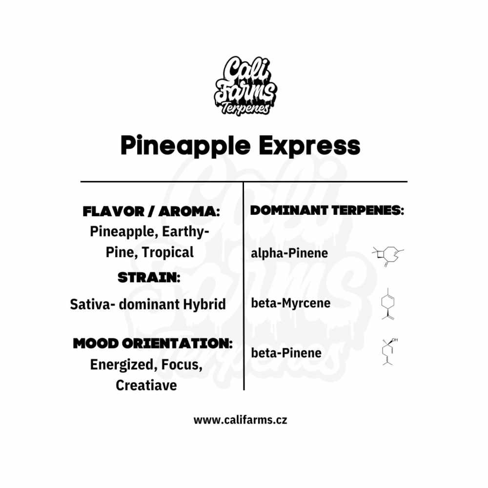 TERPENY PINEAPPLE EXPRESS