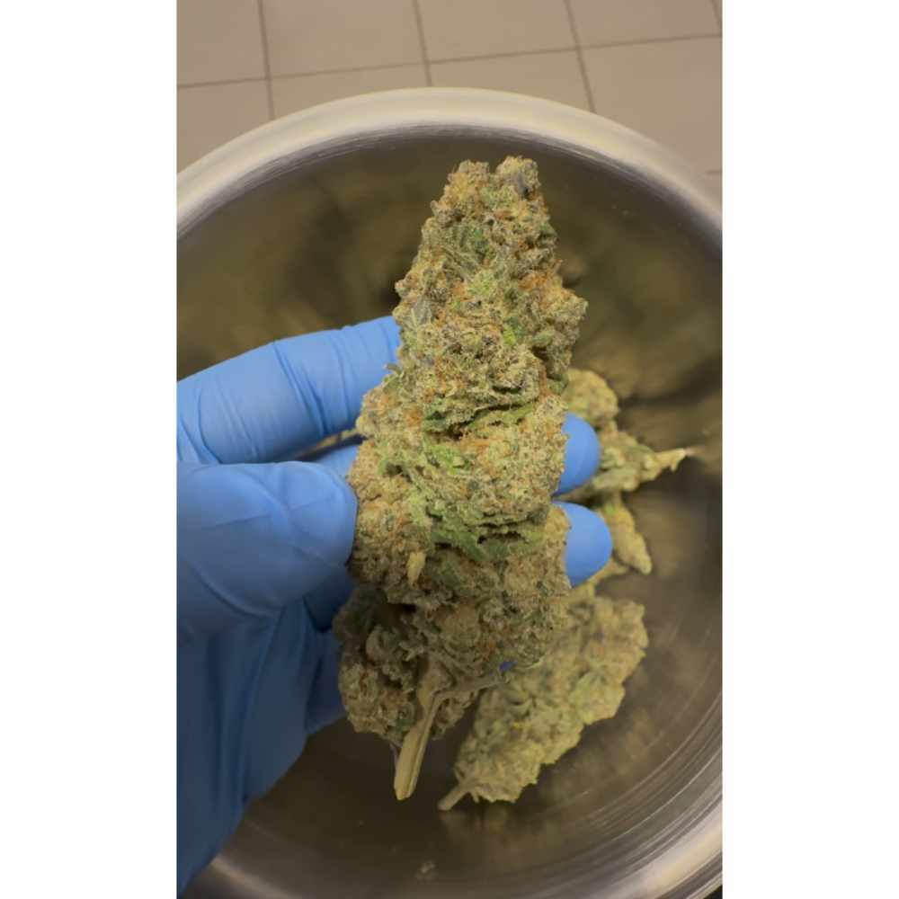 THC-X KVĚTY PINEAPPLE EXPRESS 30%