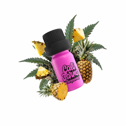 TERPENY PINEAPPLE SLUSHY