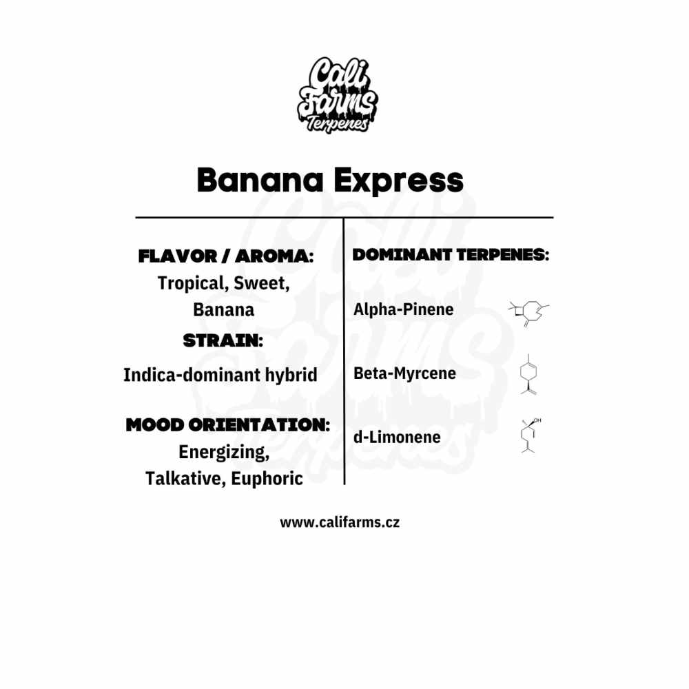 TERPENY BANANA EXPRESS