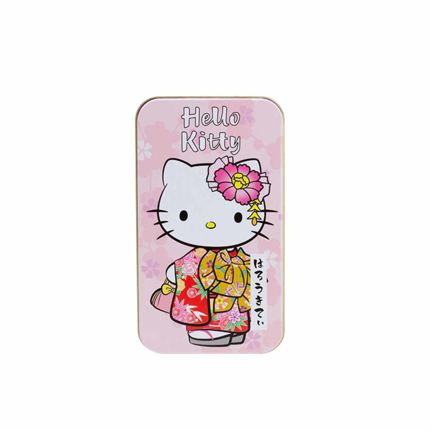 VELKÝ ÚLOŽNÝ BOX HELLO KITTY