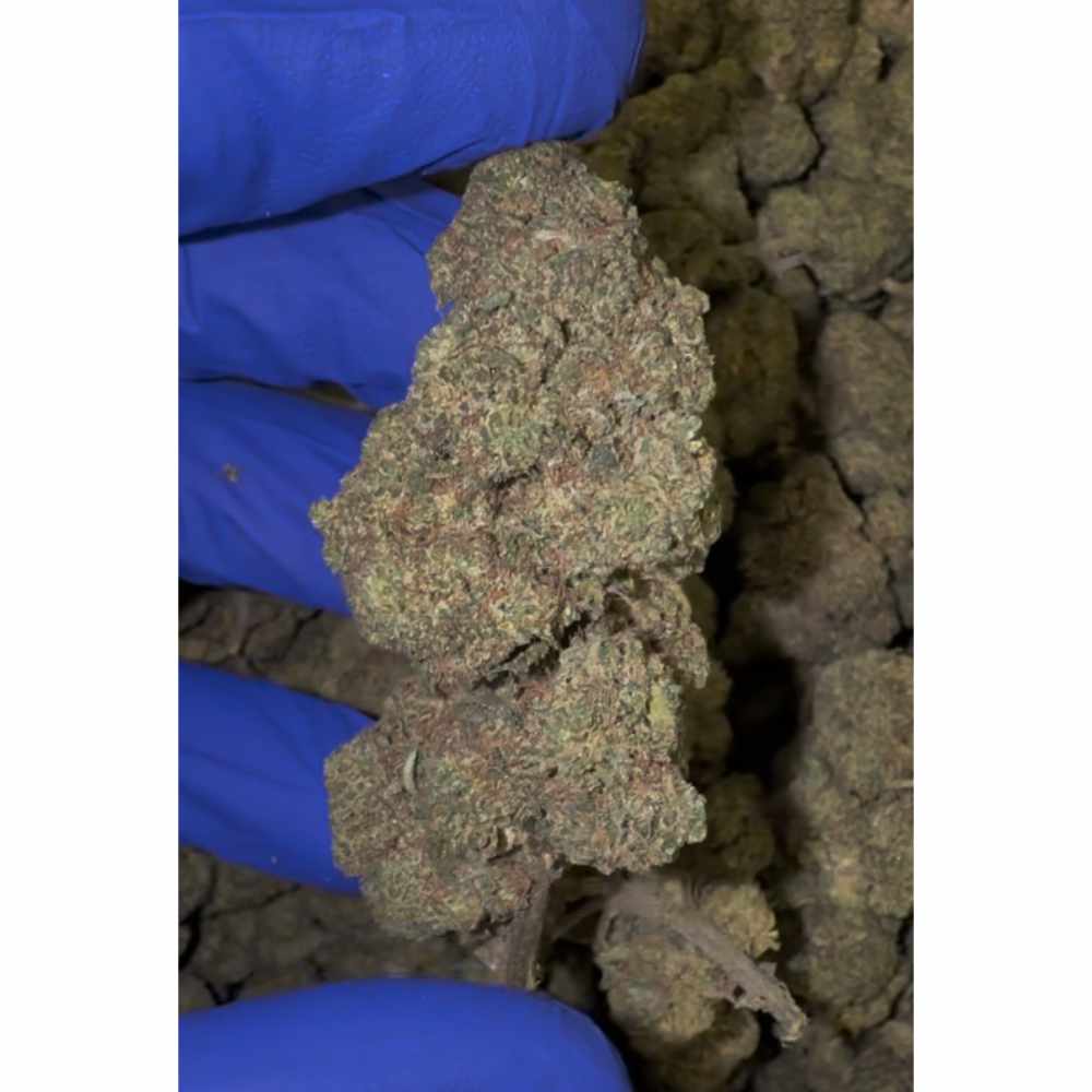 HHC-I KVĚTY DURBAN POISON 5%