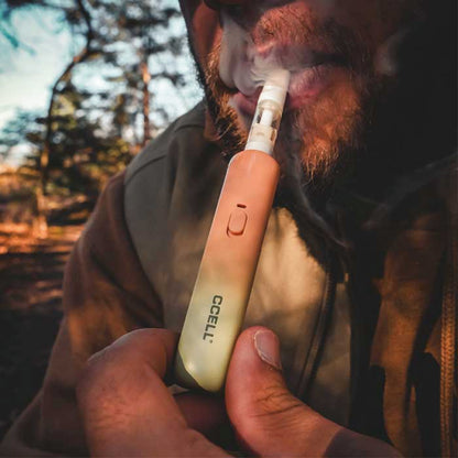 CCELL VAPE BATERIE GO STIK 280 MAH