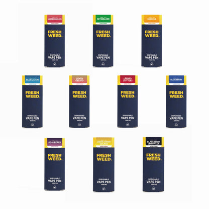 VÝHODNÝ BALÍČEK VŠECH PŘÍCHUTÍ THC-X AROMALAMP - 10 KS