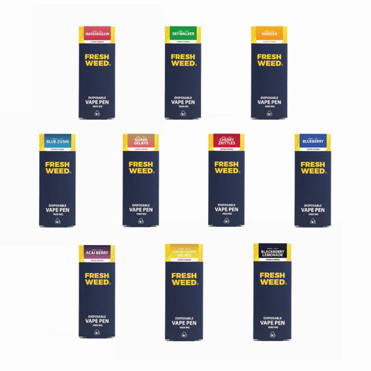 VÝHODNÝ BALÍČEK VŠECH PŘÍCHUTÍ THC-X AROMALAMP - 10 KS