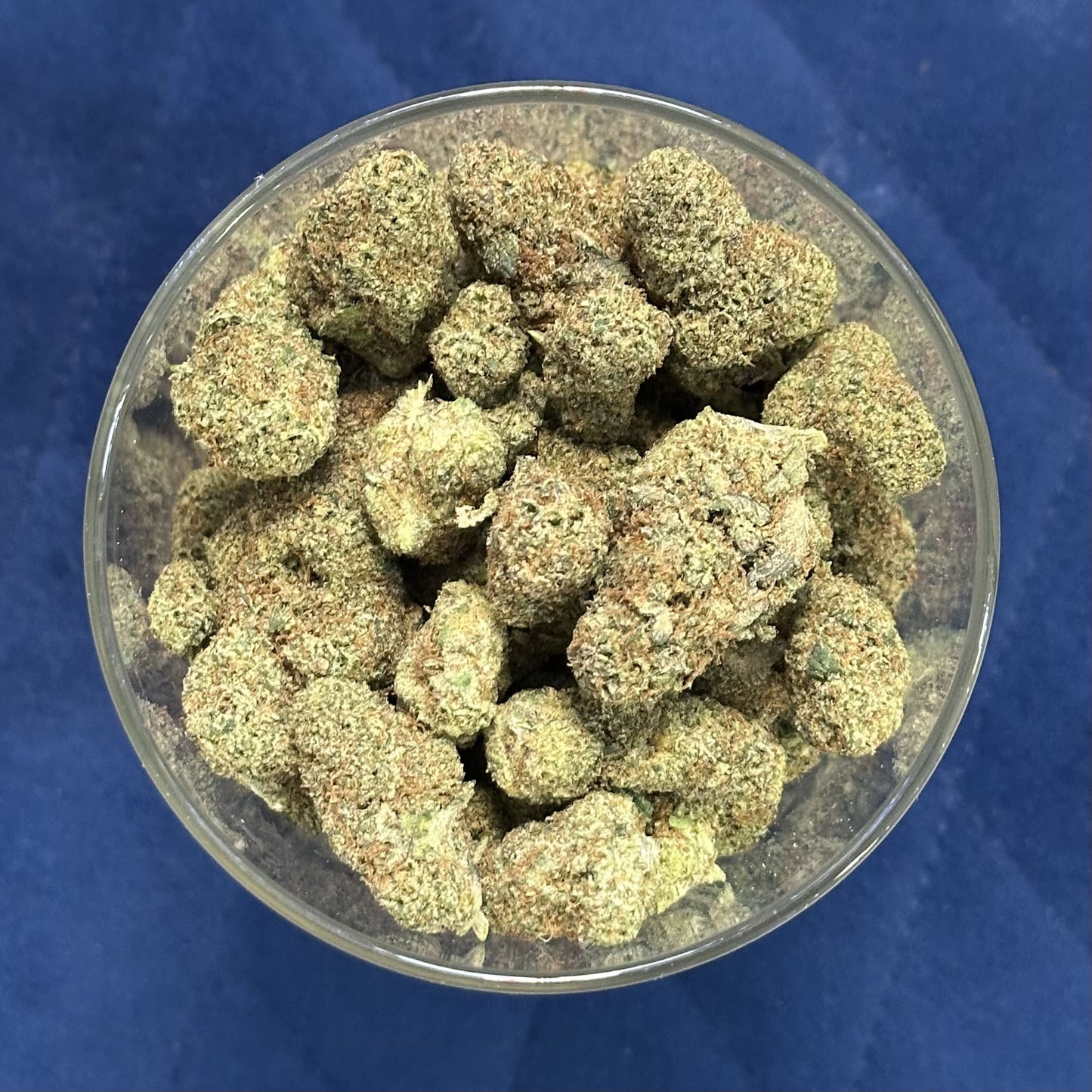 CBD KVĚTY KEY LIME PIE